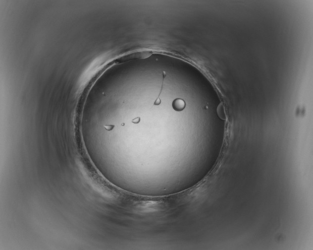 X0000111950151200907271445
