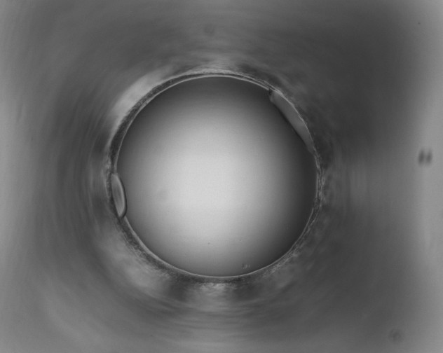 X0000111950152200907271445