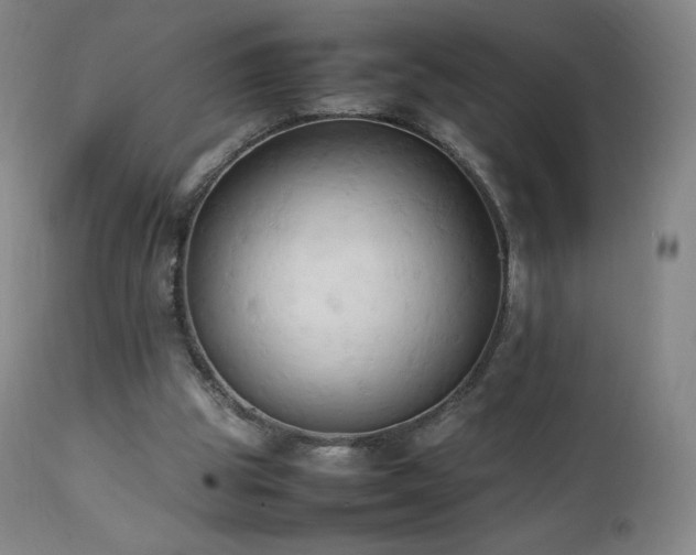 X0000111950153200907271445