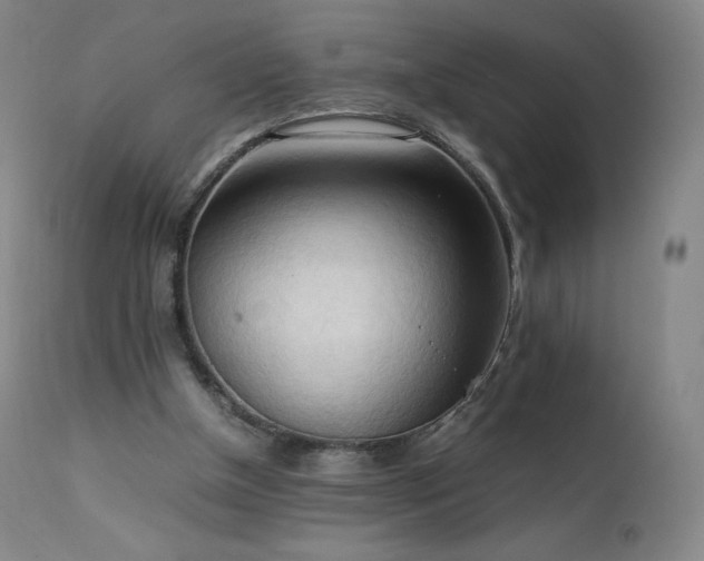 X0000111950154200907271445