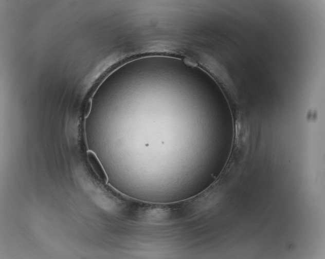 X0000111950156200907271445
