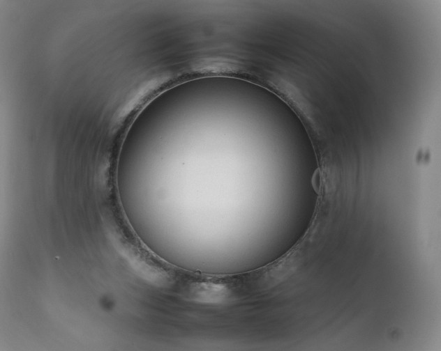 X0000111950159200907271445