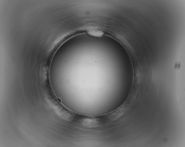 X0000111950160200907271445