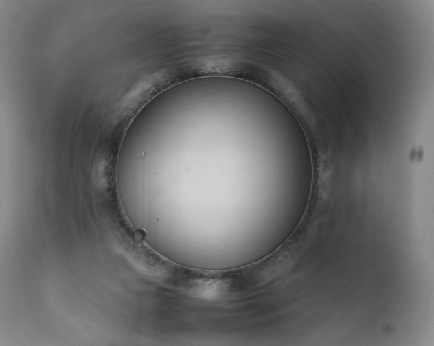 X0000111950161200907271445