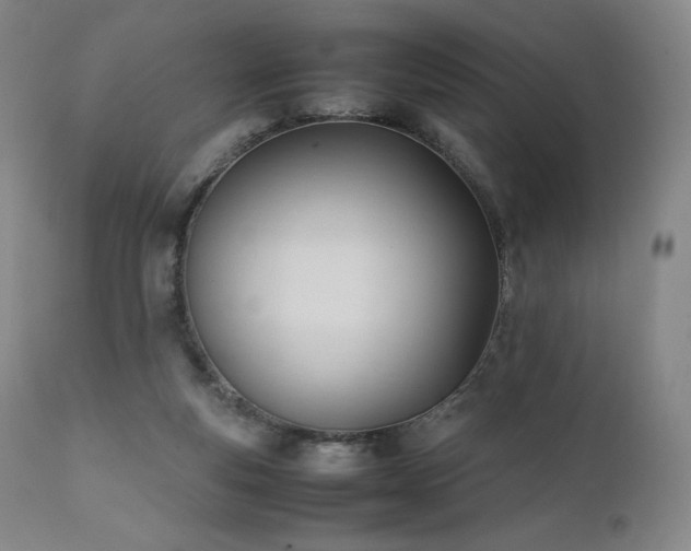 X0000111950163200907271445