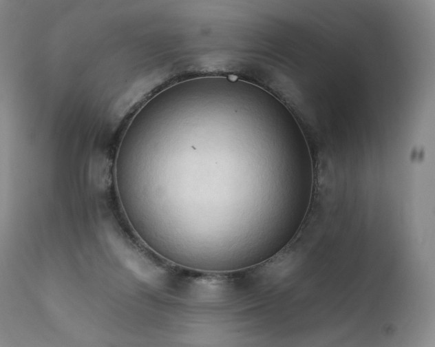 X0000111950164200907271445
