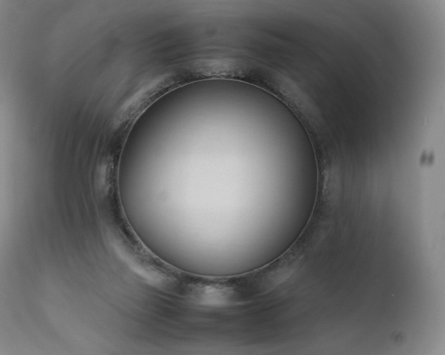 X0000111950165200907271445