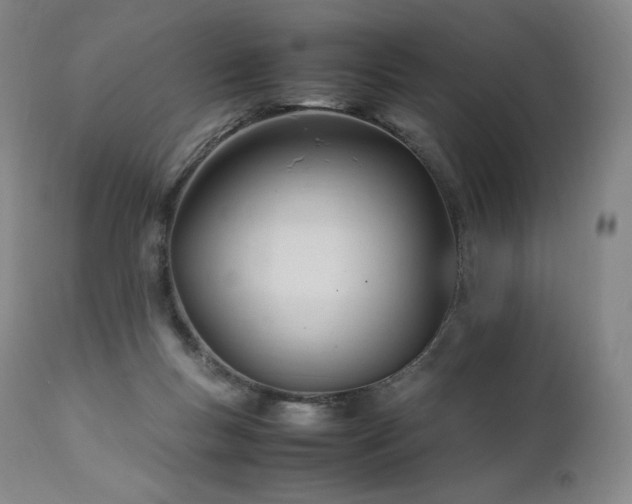 X0000111950167200907271445