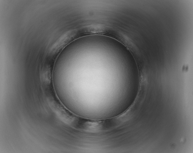 X0000111950170200907271445
