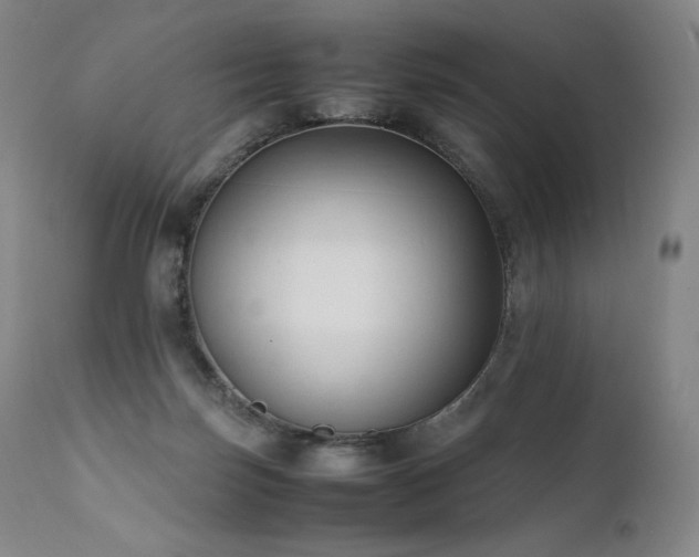 X0000111950171200907271446
