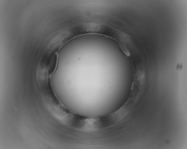 X0000111950172200907271446