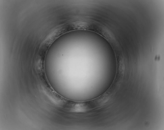 X0000111950173200907271446