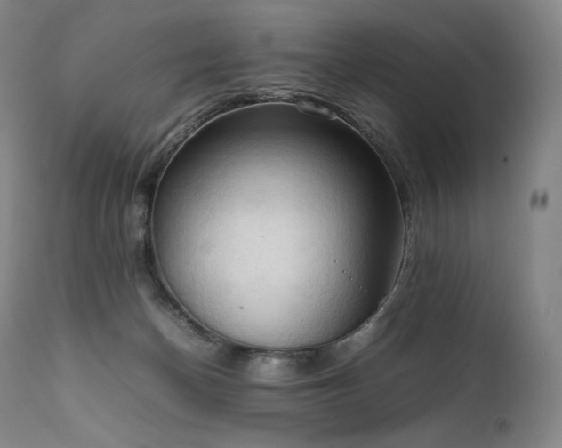 X0000111950174200907271446