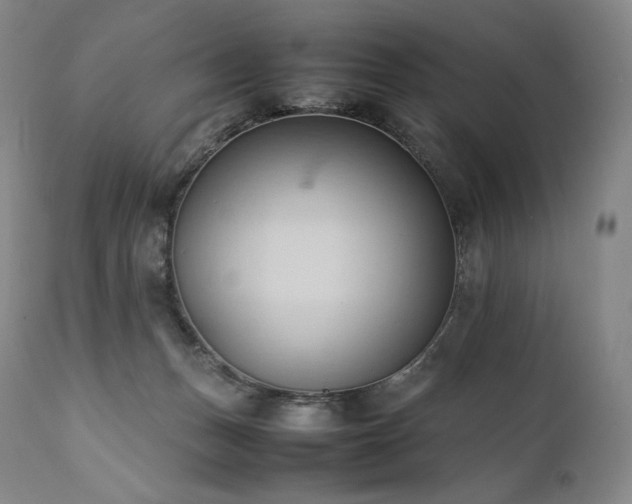 X0000111950175200907271446