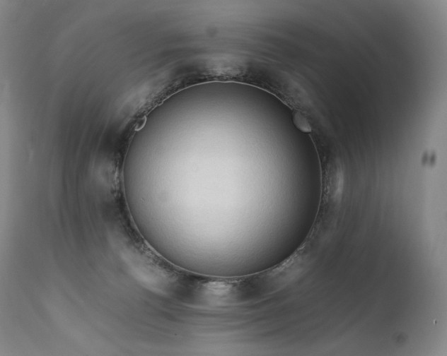 X0000111950176200907271446