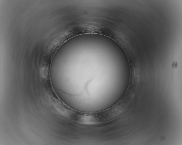 X0000111950177200907271446