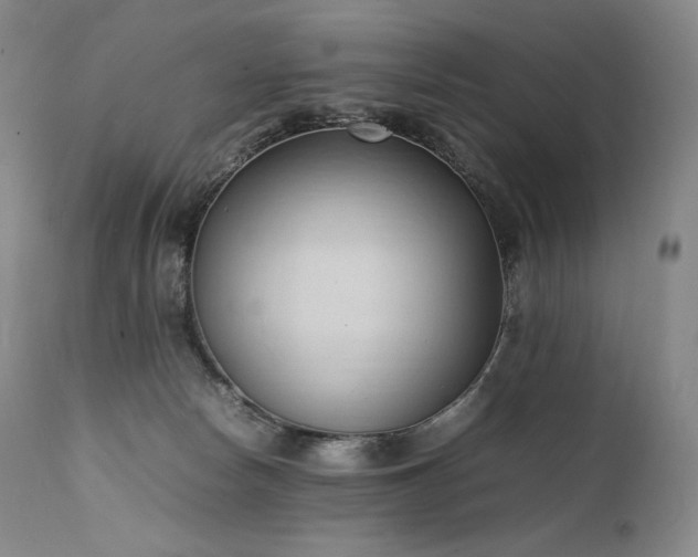 X0000111950178200907271446