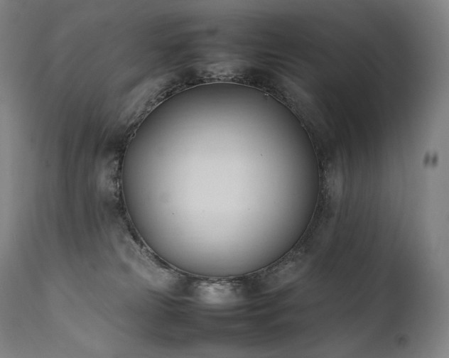 X0000111950181200907271446