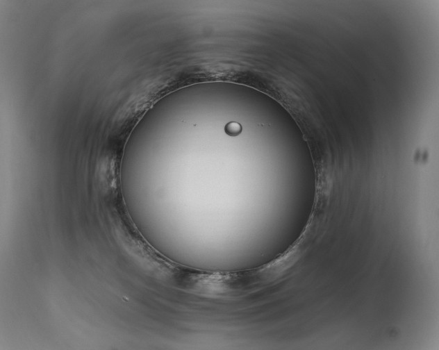 X0000111950182200907271446