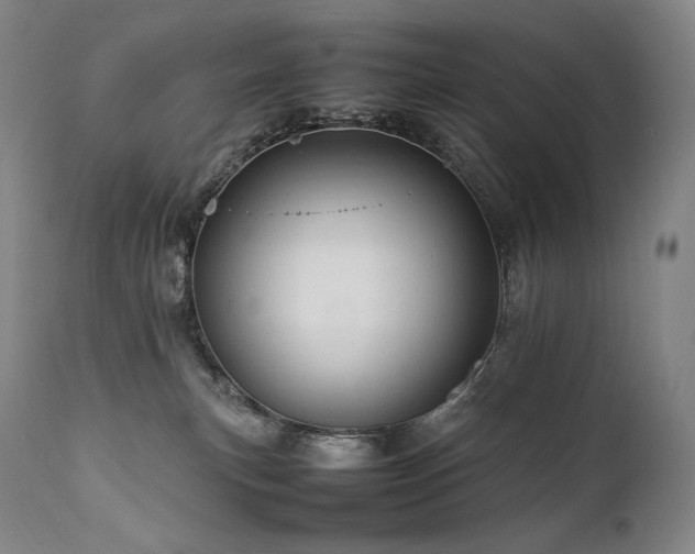 X0000111950183200907271446