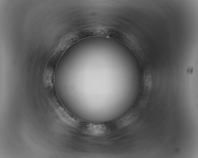 X0000111950185200907271446