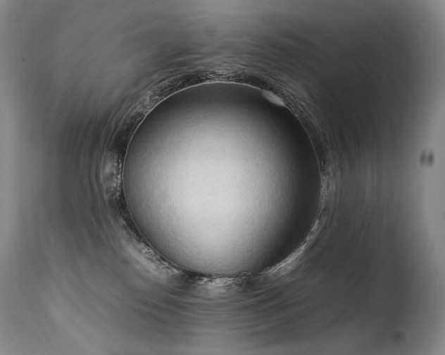 X0000111950186200907271446