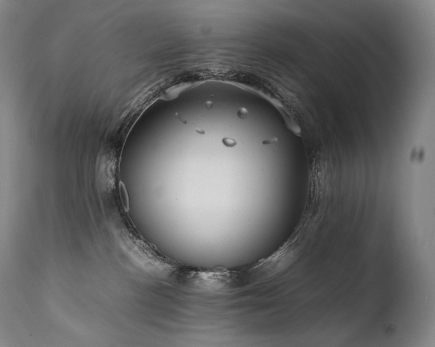 X0000111950188200907271446