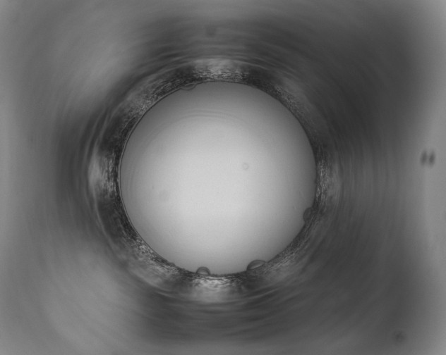X0000111950189200907271446