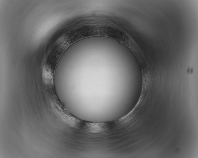 X0000111950191200907271446