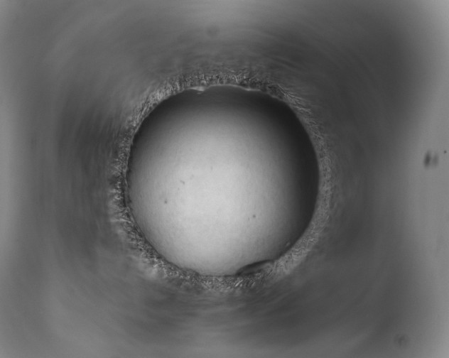 X0000111950192200907271446