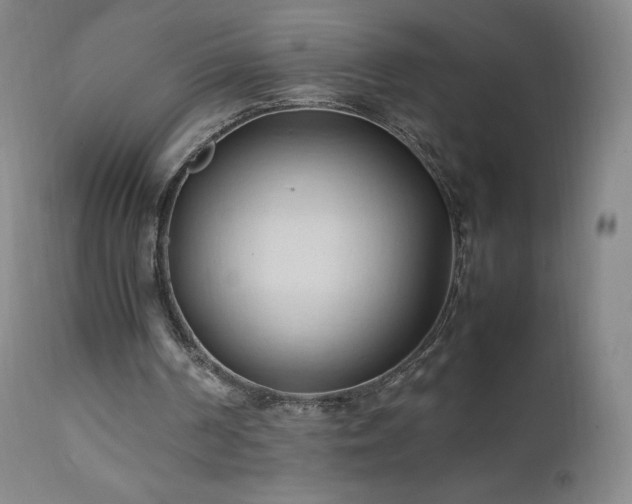 X0000111950194200907271445