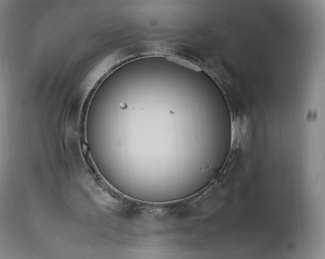 X0000111950195200907271445