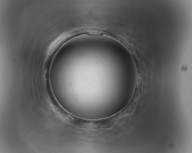 X0000111950197200907271445