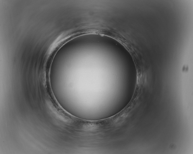X0000111950198200907271445