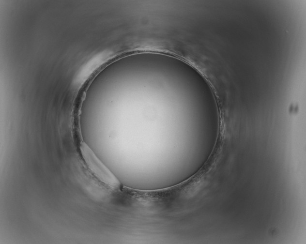 X0000111950199200907271445