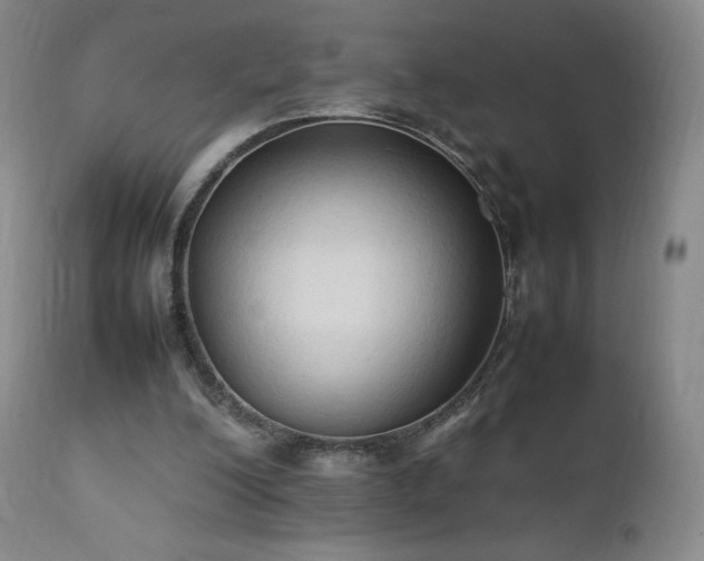 X0000111950200200907271445