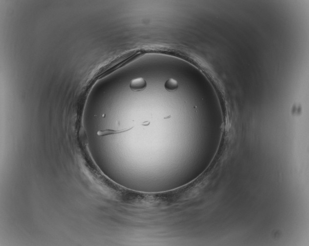 X0000111950201200907271445