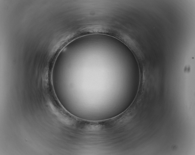 X0000111950202200907271445