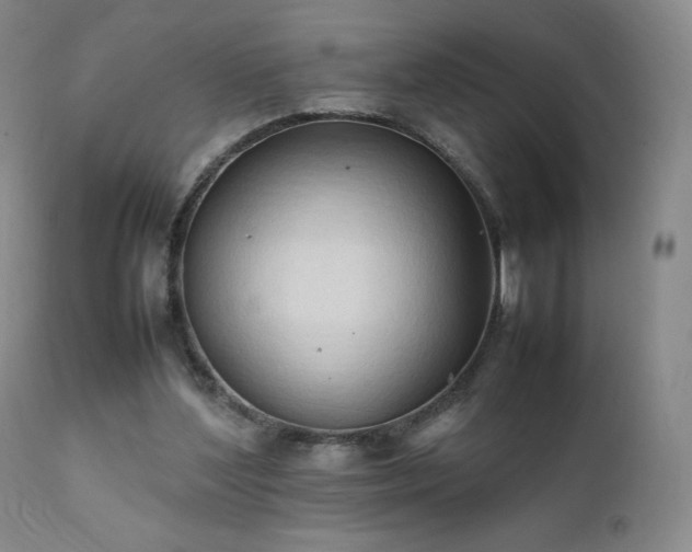 X0000111950204200907271445