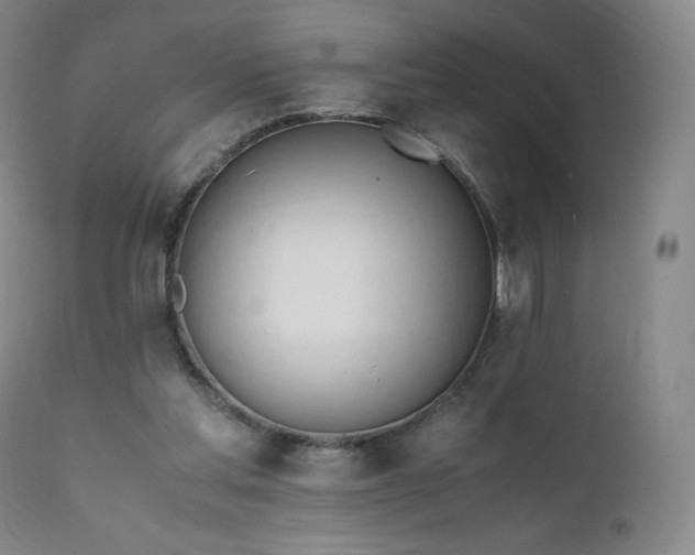 X0000111950205200907271445