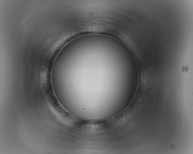X0000111950208200907271445