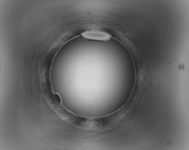 X0000111950209200907271445