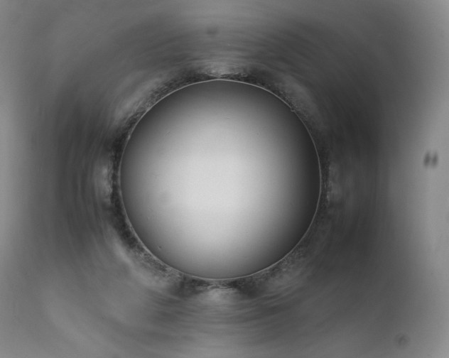 X0000111950210200907271445