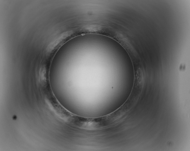 X0000111950212200907271445