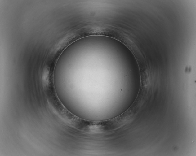 X0000111950216200907271445