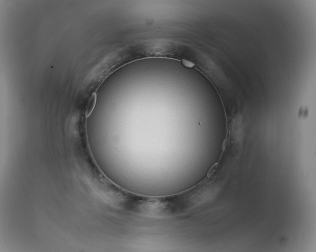 X0000111950217200907271445