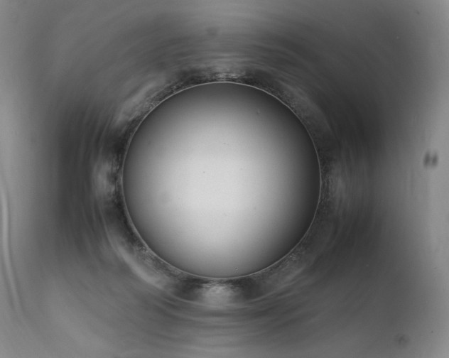 X0000111950218200907271445
