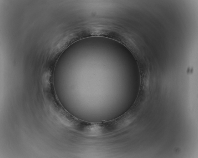X0000111950219200907271445