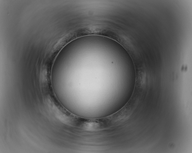 X0000111950220200907271445