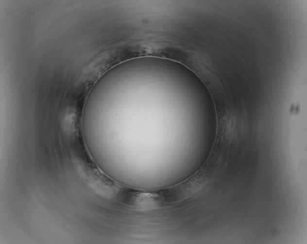 X0000111950222200907271445